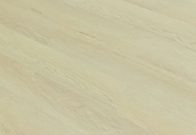 Toucan SPC7 Series TFSPC709-F – Revere view 2