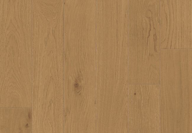 Toucan Studio White Oak TCN104 - Woodland view 2