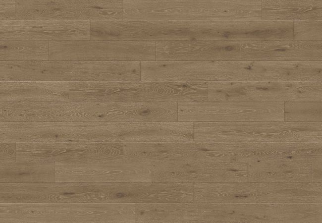 Toucan Towne European Oak TCN204 - Hazelnut - Image 3