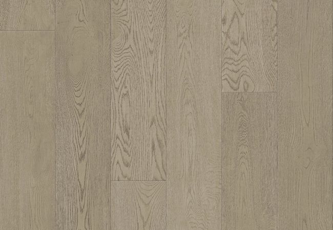 Toucan Towne European Oak TCN205 - Cashmere - Image 2