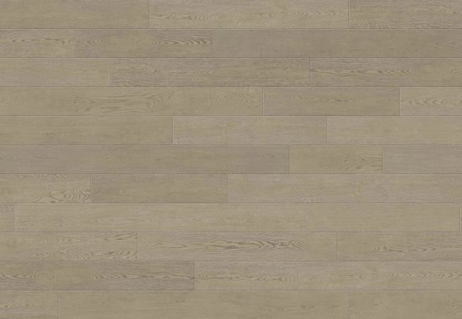 Toucan Towne European Oak TCN205 - Cashmere - Image 3