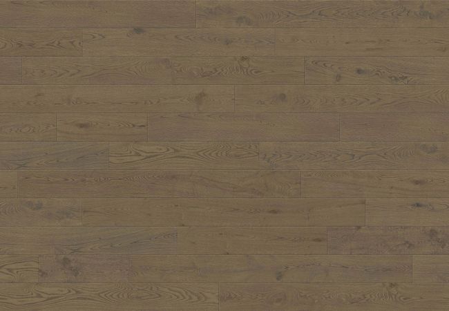 Toucan Towne European Oak TCN205 - Solitude - Image 3