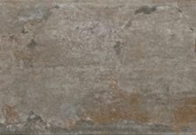 Urban Zebra Subway Porcelain Tile Nature